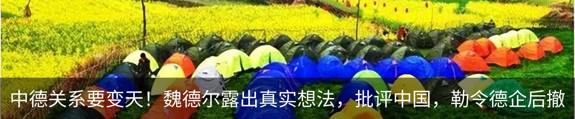 资讯动态