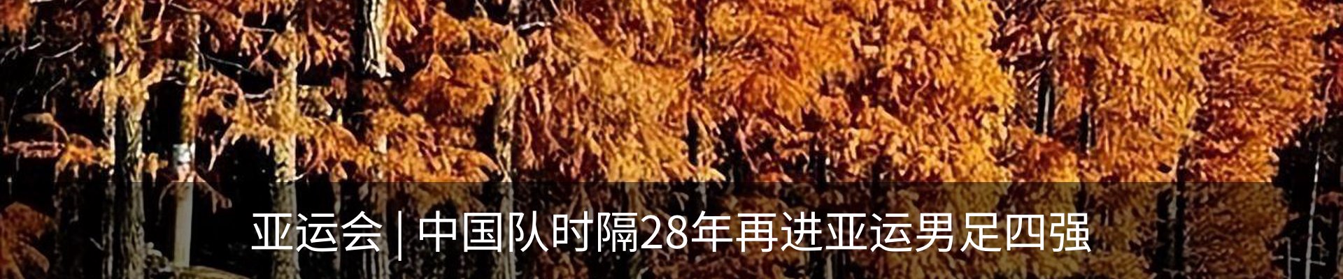 资讯动态
