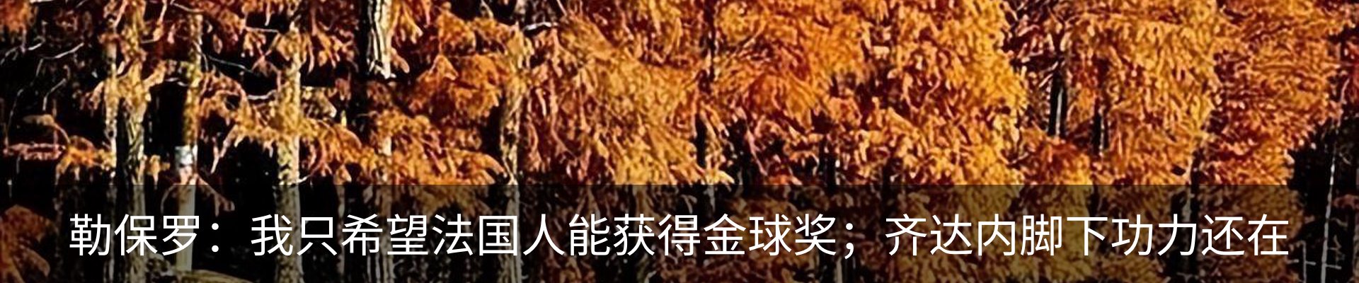 资讯动态