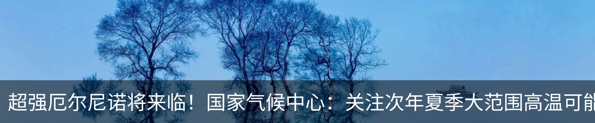 资讯动态