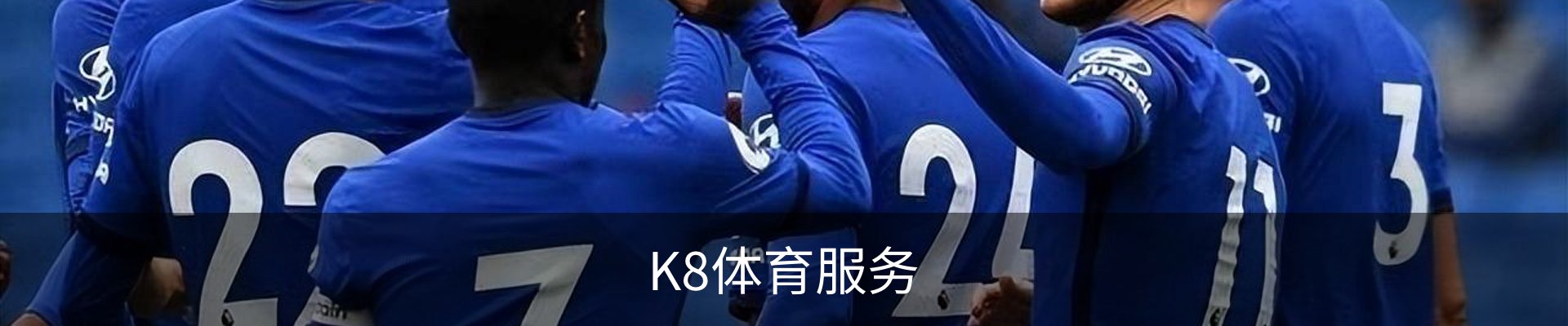 K8体育服务